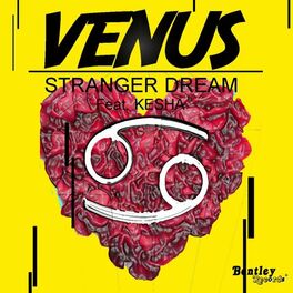 Album cover of Stranger Dream