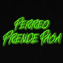 Album cover of Perreo Prende Pasa (Remix)