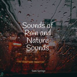 Album cover of Sounds of Rain and Nature Sounds