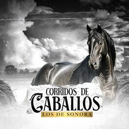 Album cover of Corridos de Caballos