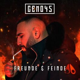 Album cover of Freunde & Feinde