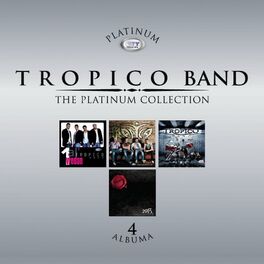 Album cover of The Platinum Collection