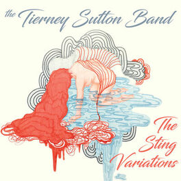 Album cover of The Sting Variations