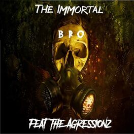 Album cover of BRO (feat TheAgressionz)