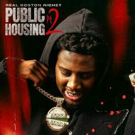 Album cover of Public Housing, Pt. 2
