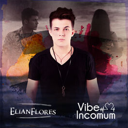 Album cover of Vibe Incomum