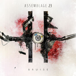 Album cover of Bruise