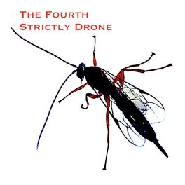 Album cover of The Fourth Strictly Drone