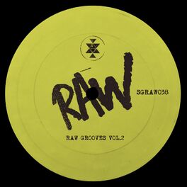 Album cover of Raw Grooves Vol.2