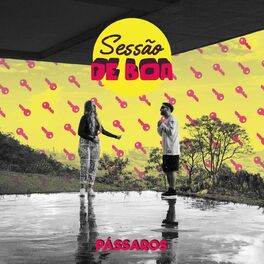 Album cover of Pássaros (feat. Elana Dara)