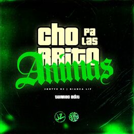 Album cover of Chorrito Pa Las Animas (Turreo Edit) [Remix]
