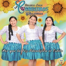 Album cover of Por que La Voz Identifica El Estilo (Vol. 2)
