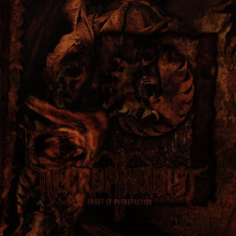Album cover of Onset of Putrefaction