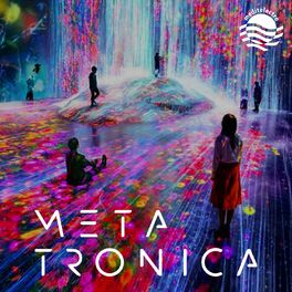 Album cover of Metatronica