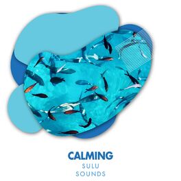 Album cover of Calming Sulu Sounds