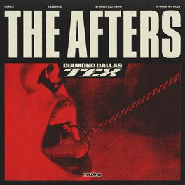 Album cover of The Afters