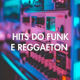 Album cover of Hits do Funk e Reggaeton