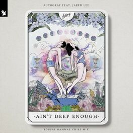 Album cover of Ain't Deep Enough (Bonsai Mammal Chill Mix)