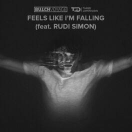 Album cover of Feels Like I'm Falling