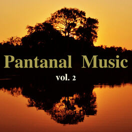 Album cover of Pantanal Music, Vol. 2