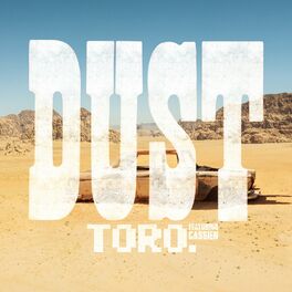 Album cover of Dust (Rework)
