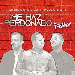 Album cover of Me has perdonado (feat. Dj Sammy) [Gavriel Remix]