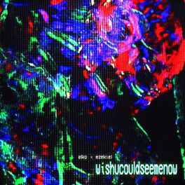 Album cover of wishucouldseemenow