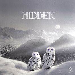 Album cover of Hidden 2