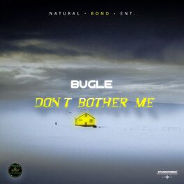 Album cover of Don't Bother Me