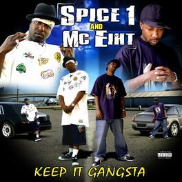 Album cover of Keep It Gangsta (Special Edition)