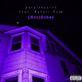 Album cover of (Not) Sober [feat. $atori Zoom]