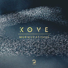 Album cover of Murmurations