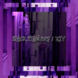 Album cover of Black Flowers / XIV