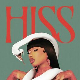 Album cover of HISS (DJ Edit)