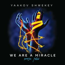 Album cover of We Are a Miracle