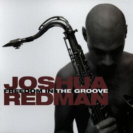 Album cover of Freedom In The Groove