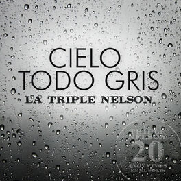 Album cover of Cielo Todo Gris (En Vivo)