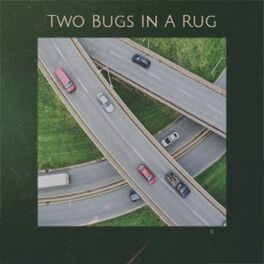 Album cover of Two Bugs In A Rug