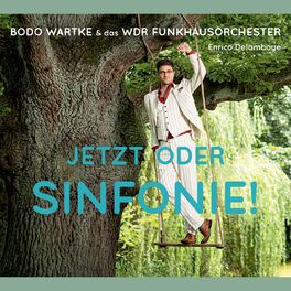 Album cover of Jetzt oder Sinfonie!