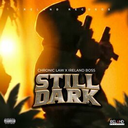 Album cover of Still Dark