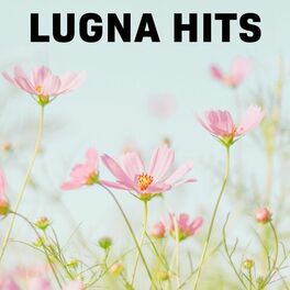 Album cover of Lugna Hits