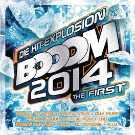 Album cover of Booom 2014 - The First