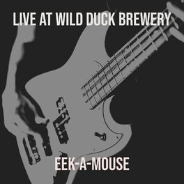 Album cover of Live at Wild Duck Brewery