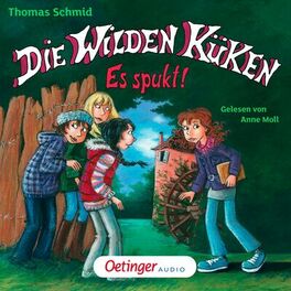 Album cover of Die Wilden Küken 4. Es spukt! (Gekürzte Lesung)