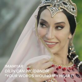 Album cover of DİLİN CAN İNCİDƏNDİR “Your Words Wound My Heart” (feat. Rufat Hasanov,Fikrat Hasanov,Yusif Alizade & Oktay Mammadov)