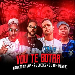 Album cover of Vou Te Botar (feat. MC Meno K) (Brega Funk)