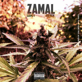 Album cover of Zamal (feat. Joe Rem & Stansmithondatrack)