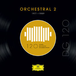 Album cover of DG 120 – Orchestral 2 (1971-1989)