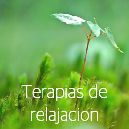 Album cover of Terapias de relajacion - La terapia de música con sonidos de la naturaleza para un mejor estado de ánimo, el pensamiento positivo,