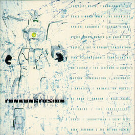 Album cover of Funkungfusion